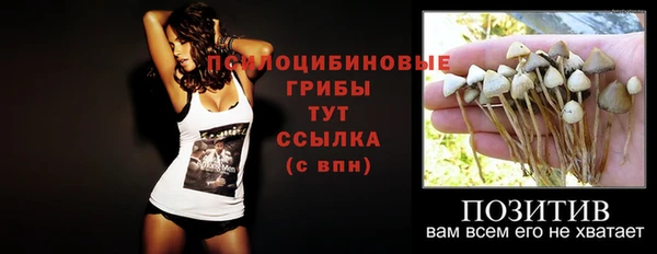 стаф Абаза