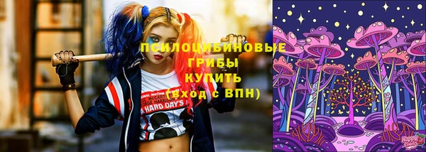 стаф Абаза