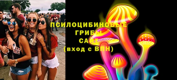 шишки Пролетарск