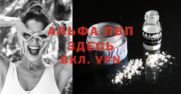 стаф Абаза