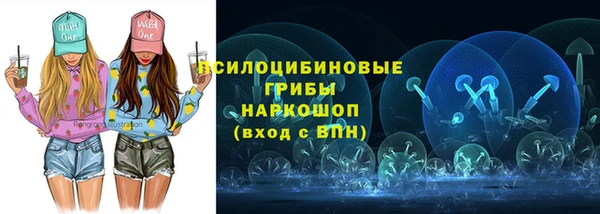 гидра Россошь