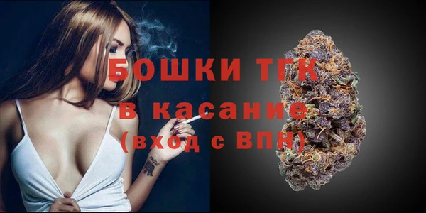 стаф Абаза