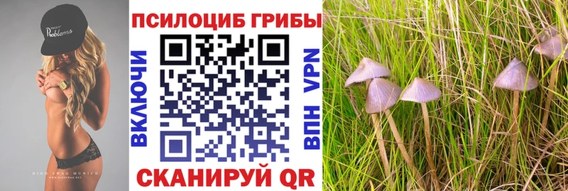 Галлюциногенные грибы Cubensis Дубовка